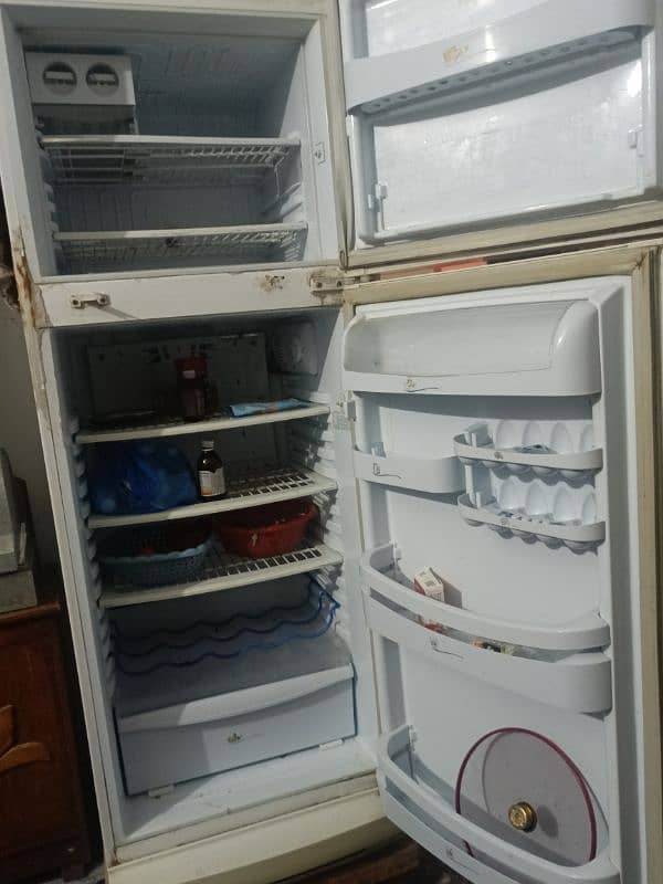 Fridge 1