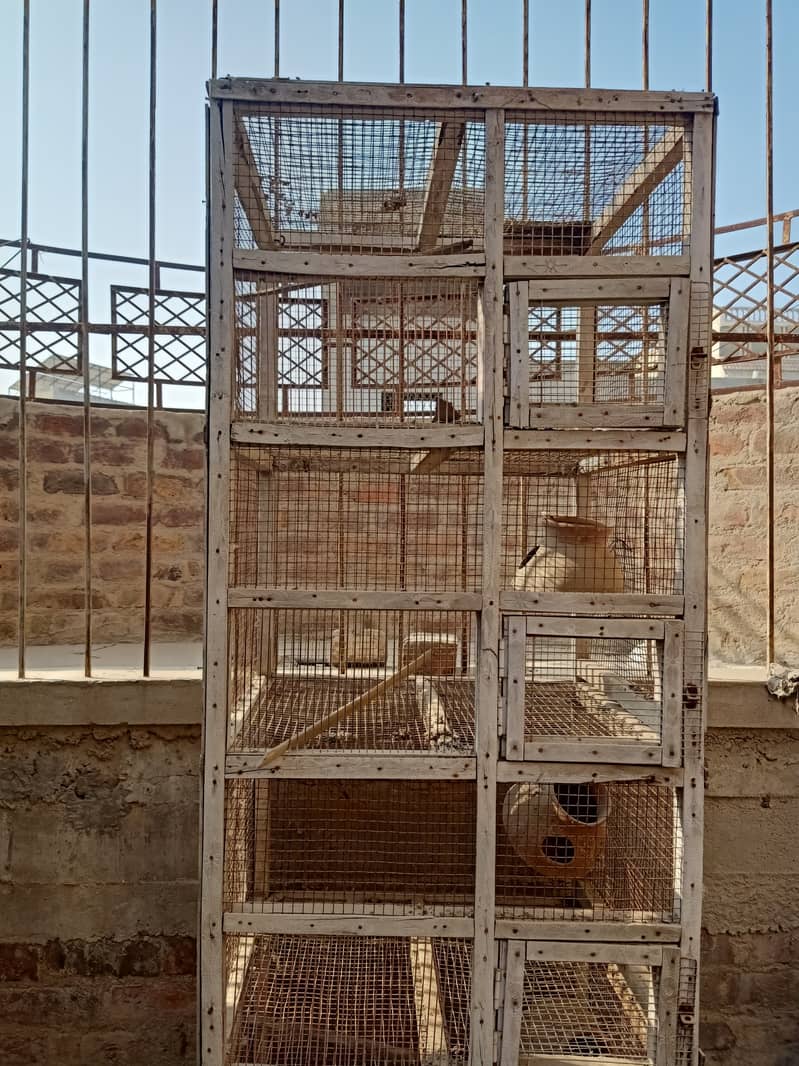 Birds cage for sale 2