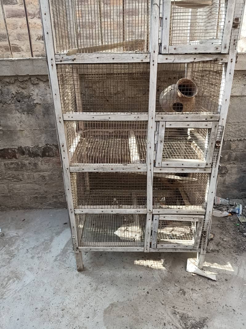 Birds cage for sale 3