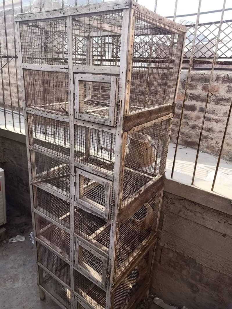 Birds cage for sale 4