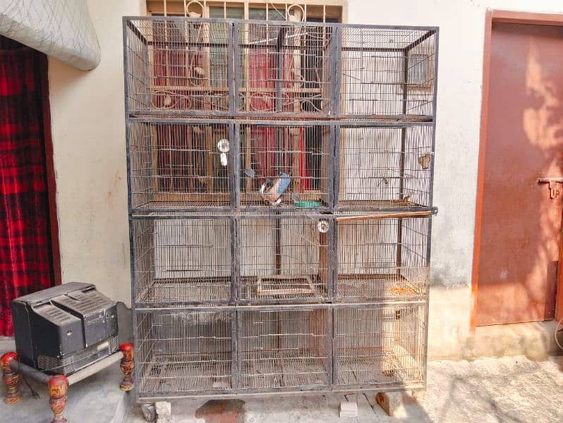 Cage for Love Birds 0