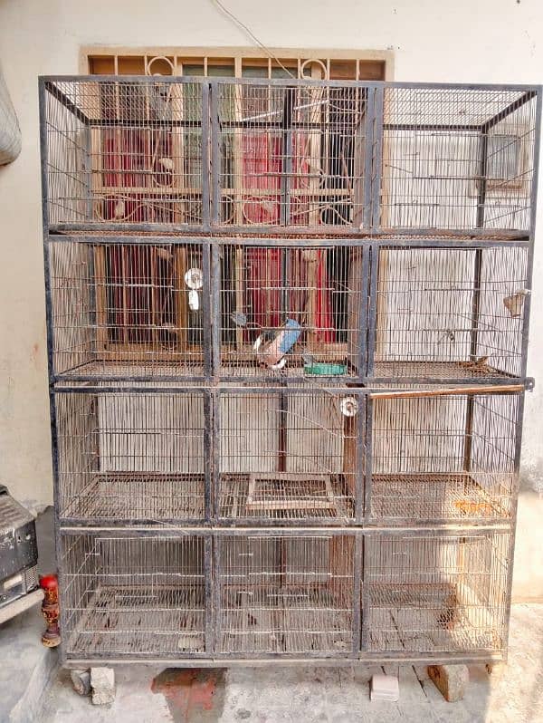 Cage for Love Birds 1