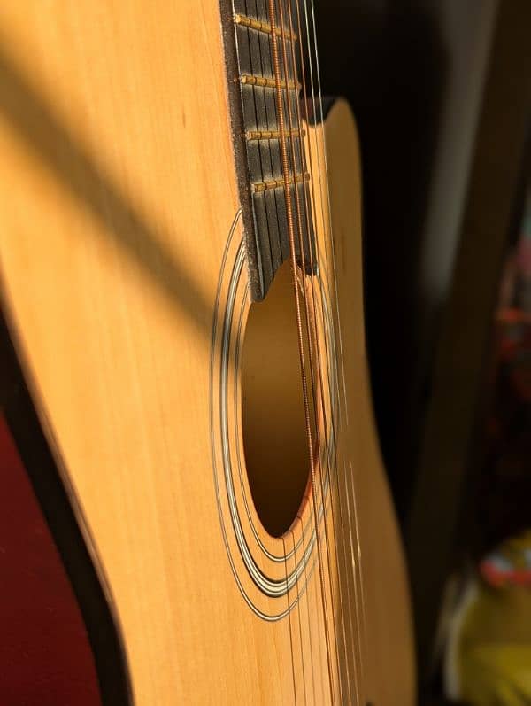 XueBao Guitar 1