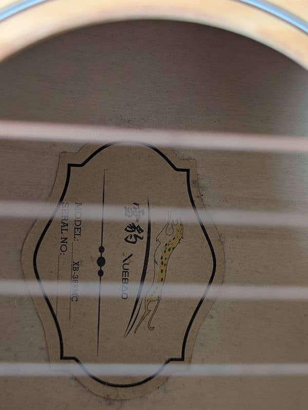 XueBao Guitar 4