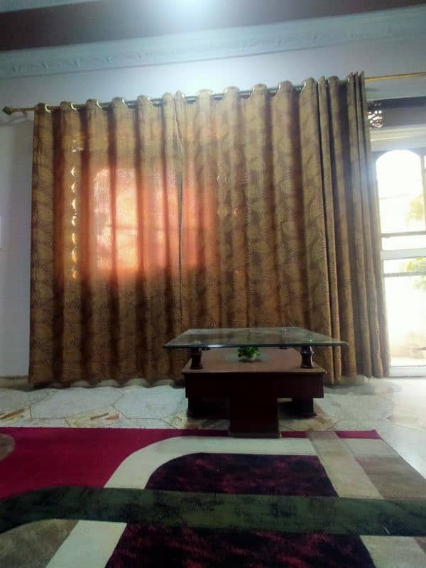 4 Silk Georgette Curtains 0