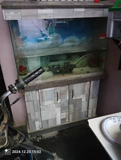 Fish Aquarium for Sale