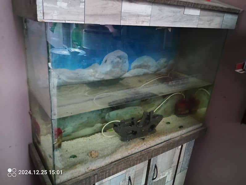 Fish Aquarium for Sale 1