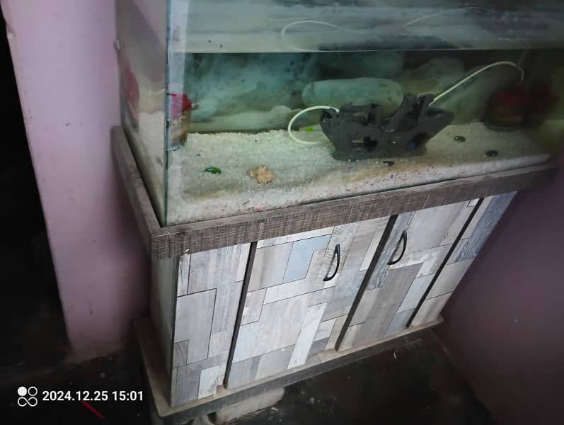 Fish Aquarium for Sale 2