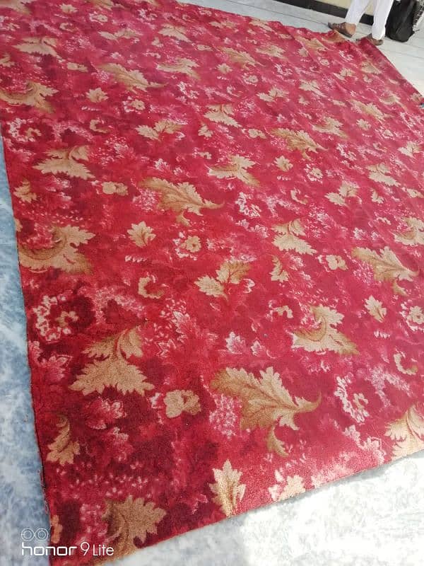 room carpet 1