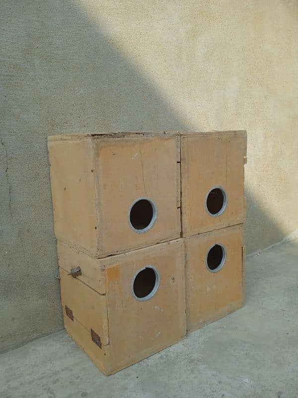 matki matkiyan handiyan finches java handia lovebird boxes cage pinjra 6