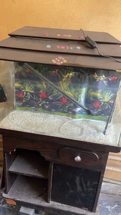 Fish Aquarium