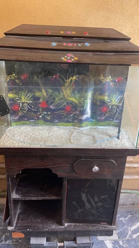 Fish Aquarium 1