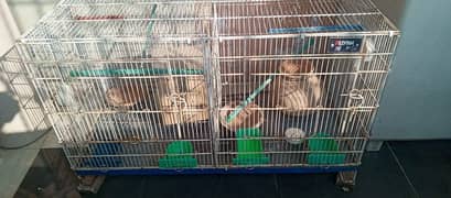 Cages for sale in very reasonable prices