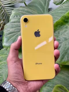 Iphone Xr 128GB PTA BLOCK