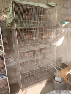 8 portion cages for sale