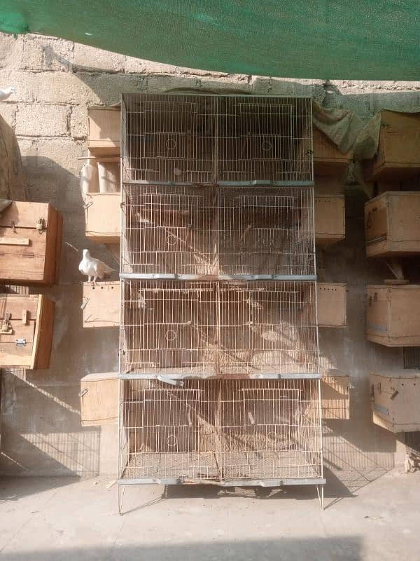 8 portion cages for sale 4