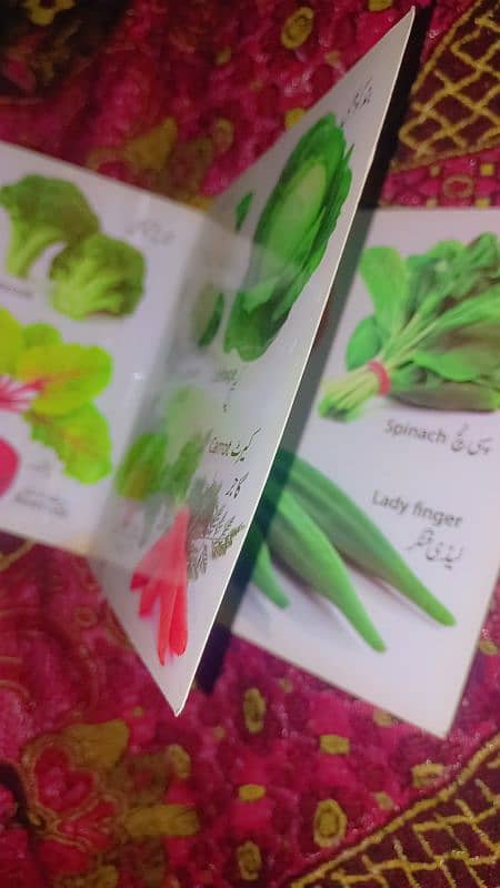 Educational Book on Vegetables for Kids - Learn with Fun! 1