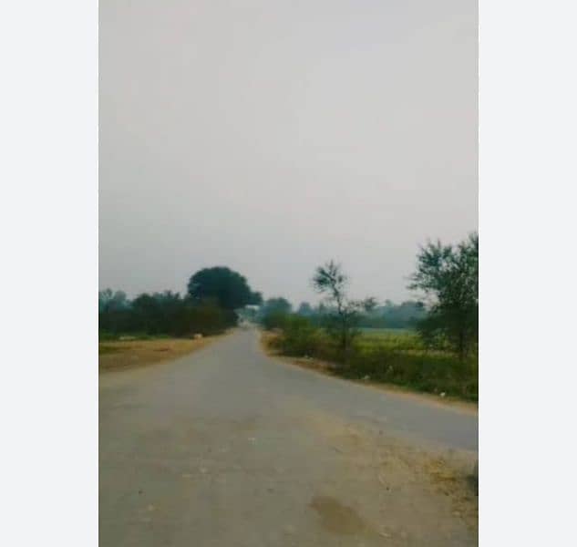 agricultural land for sale 0