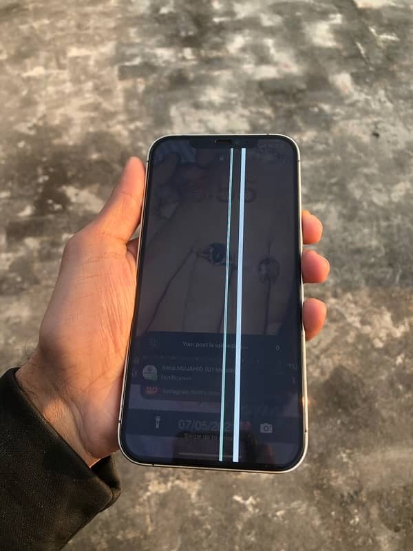 iphone 12 pro max 256gb physical dual pta approved 0