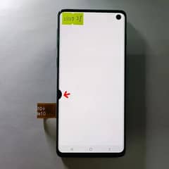 Samsung s10 and s10 plus panel