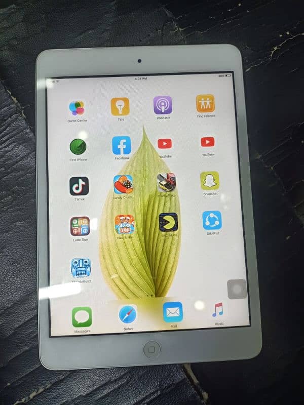 ipad mini2  A1432 1