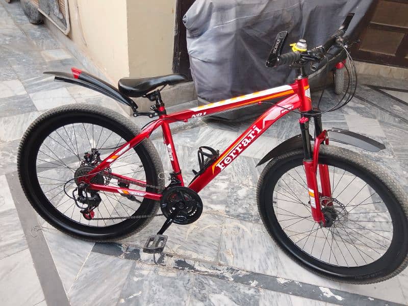 Ferrari Mountain bike 3