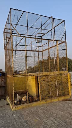 pigeon big cage