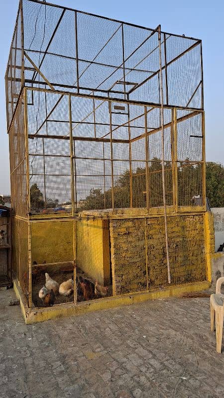 pigeon big cage 1