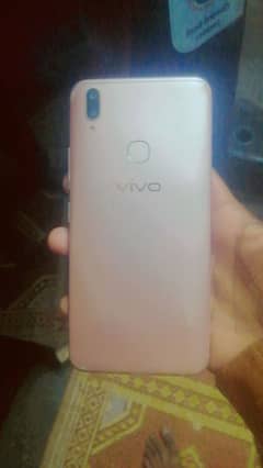 vivo