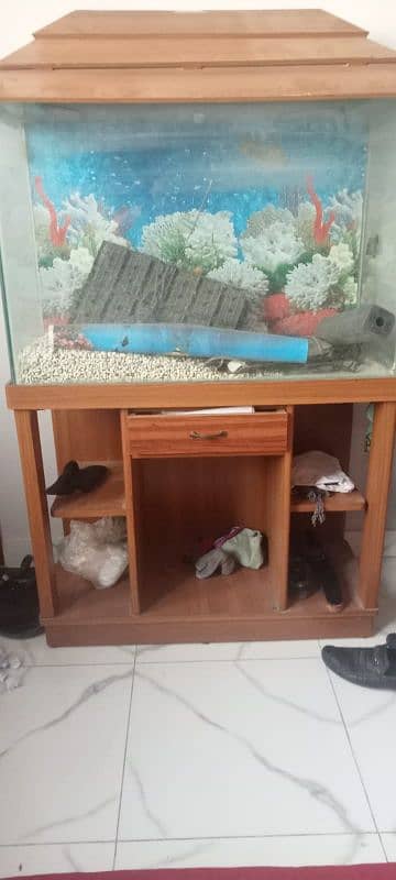 Aquarium For Sale 0