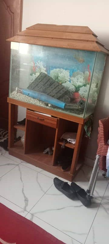 Aquarium For Sale 5