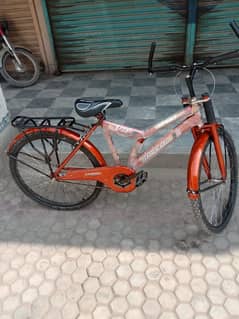 cycle waraity