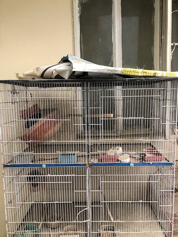 6 portionn hen cage for sale 1