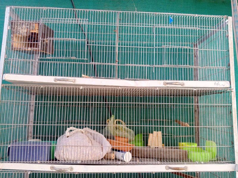 parrot cage for sale 5 portion 3