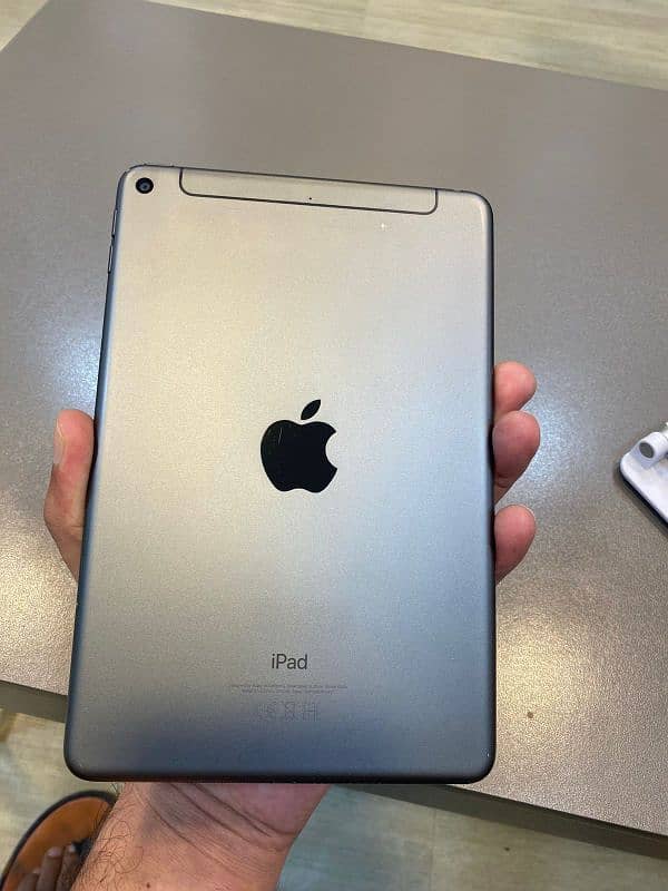 ipad mini 5 0