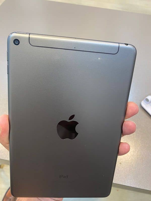 ipad mini 5 1