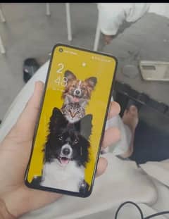 Oppo Reno 6 for sell