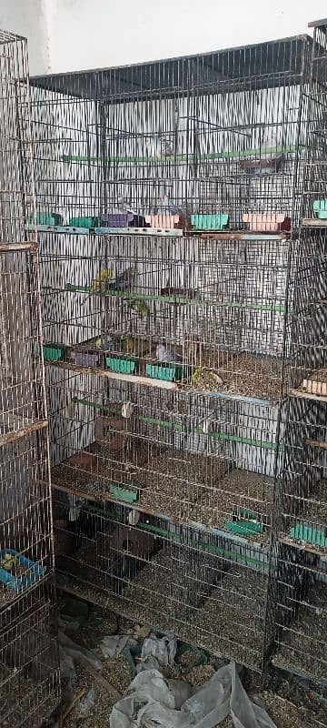 birds cages for sale 0