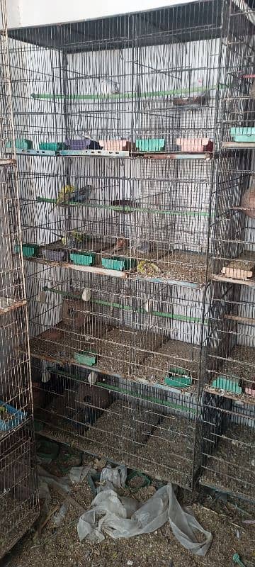 birds cages for sale 1