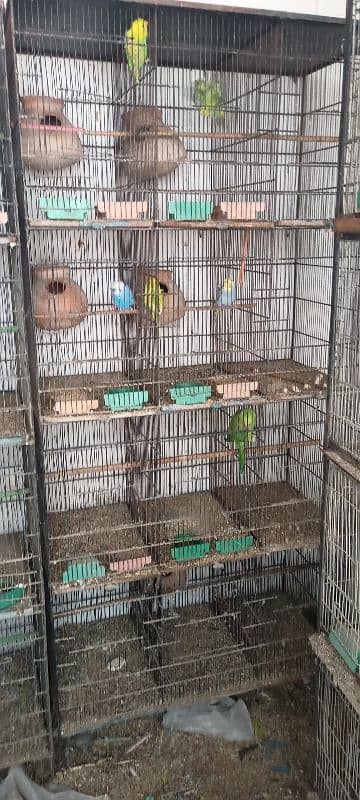 birds cages for sale 2