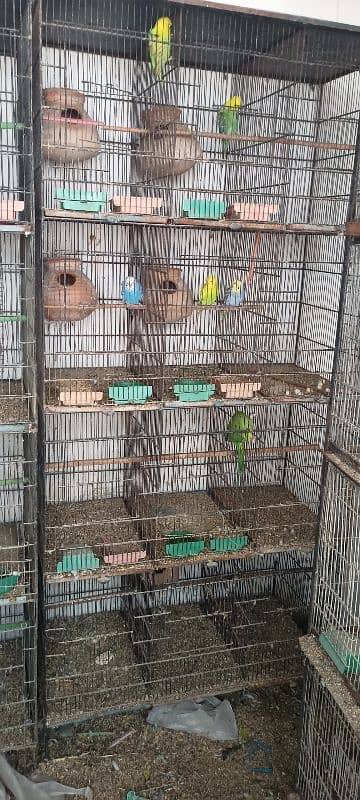 birds cages for sale 3