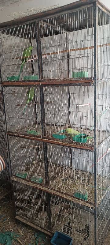 birds cages for sale 4