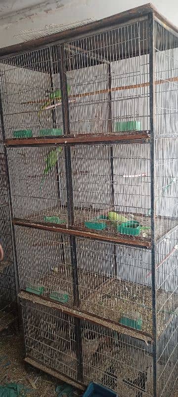 birds cages for sale 5