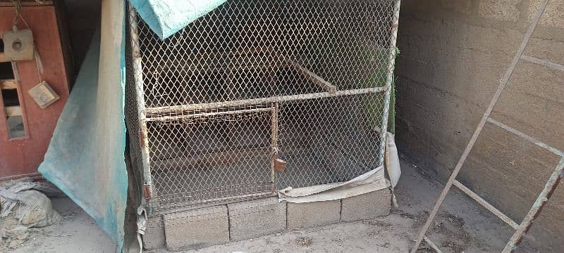 birds cages for sale 6