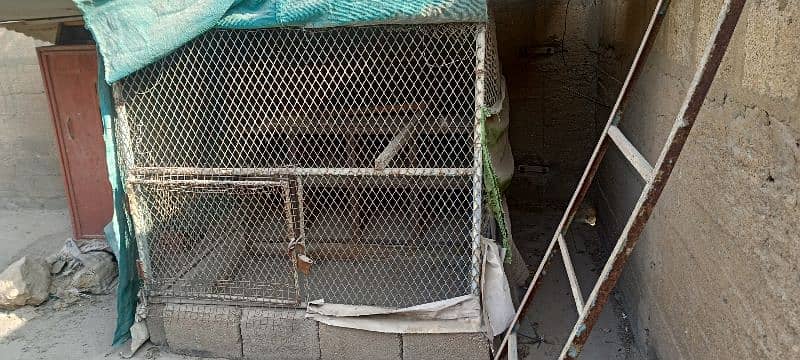 birds cages for sale 7