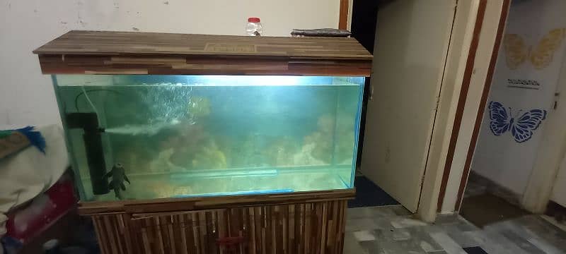 4 ft AQUARIUM WITH NEW MOTOR FOR SALE 2