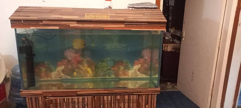 4 ft AQUARIUM WITH NEW MOTOR FOR SALE 3