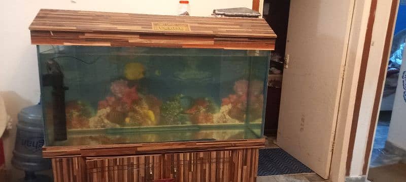 4 ft AQUARIUM WITH NEW MOTOR FOR SALE 4