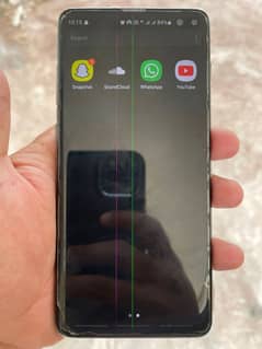 S10 plus panel