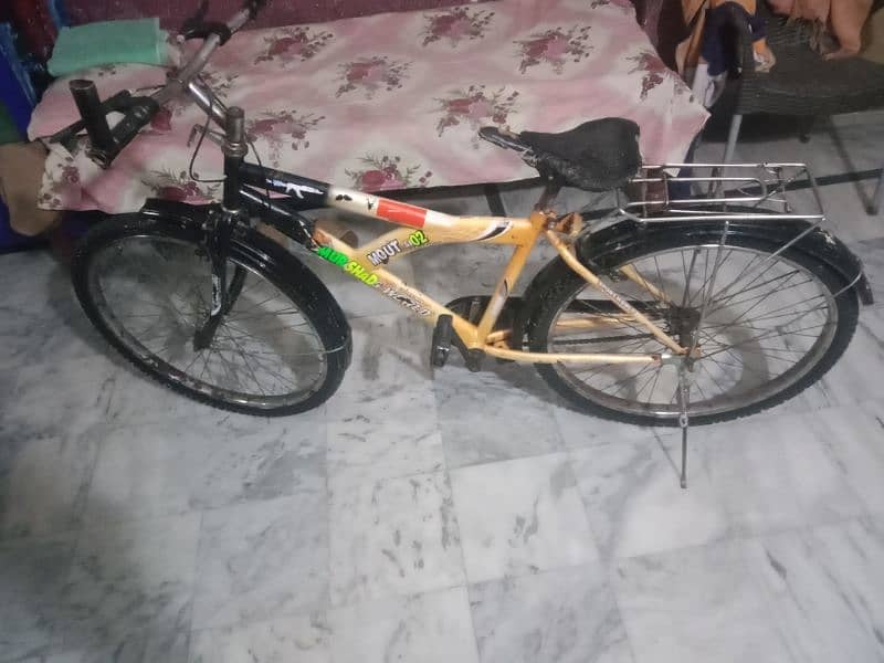 my big &samall by cycle for sale 0